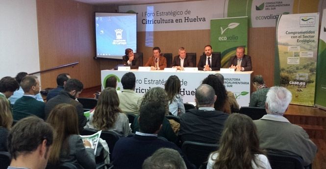 La Junta aboga por una mayor integración del sector citrícola onubense para conquistar el mercado exterior