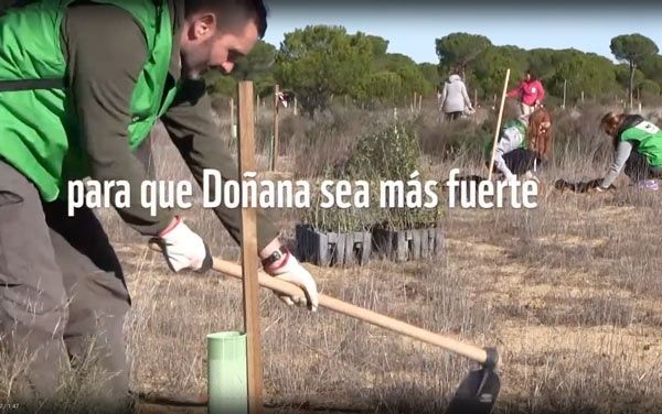El runrún: ‘GivingTuesday’ por Doñana