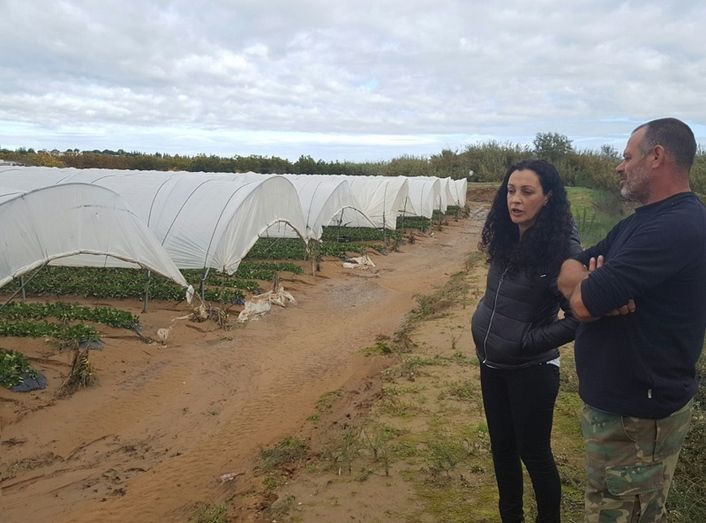 El Ayuntamiento de Cartaya y los agricultores hacen recuento de daños por el temporal para solicitar ayudas