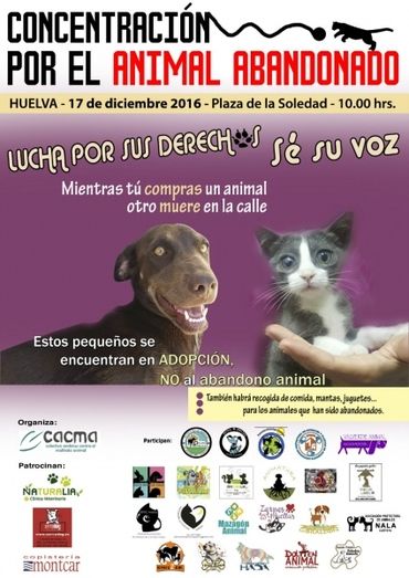 CACMA se concentra este sábado para recordar que los animales no son juguetes que regalar en Navidad