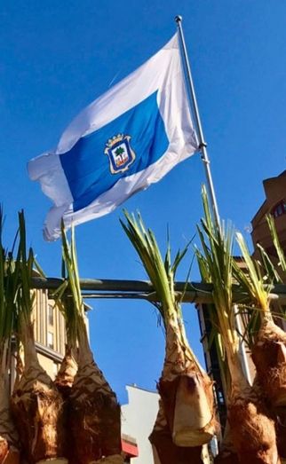 El runrún: Rodri, por los suelos por una foto
