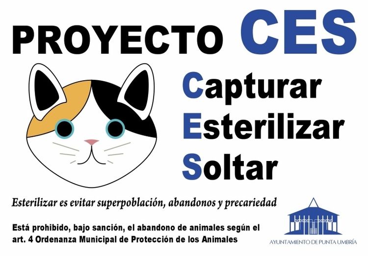 Punta Umbría pondrá en marcha un método para la esterilización de los gatos abandonados