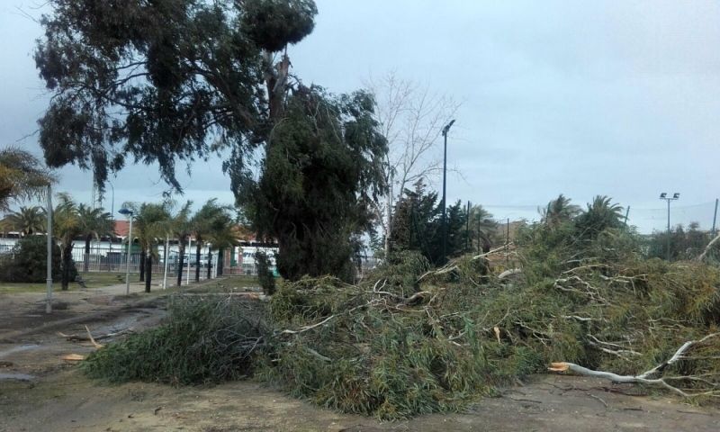 El Ayuntamiento de Huelva activa un dispositivo especial contra los destrozos ocasionados por el temporal