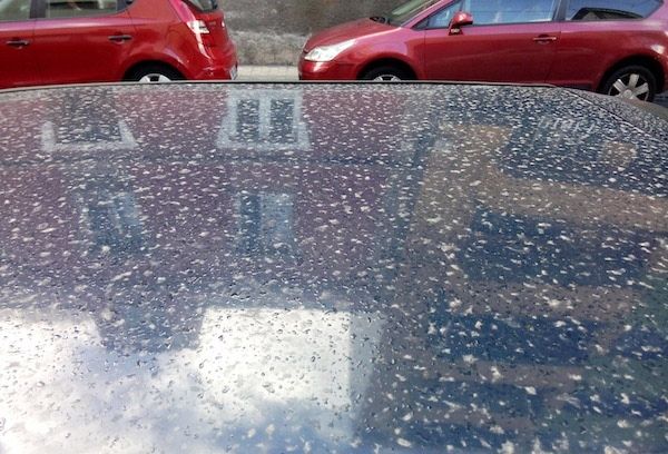 Lluvia de barro en la provincia