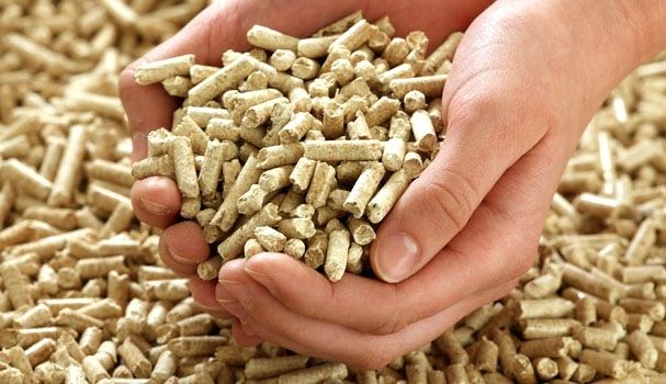 Niebla contará con una de las mayores fábrica de pellets de Andalucía