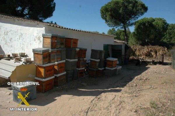 La Guardia Civil detiene al autor del robo de 31 colmenas de abejas