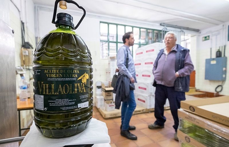 Villaoliva, la intensa armonía de cuatro variedades de aceituna
