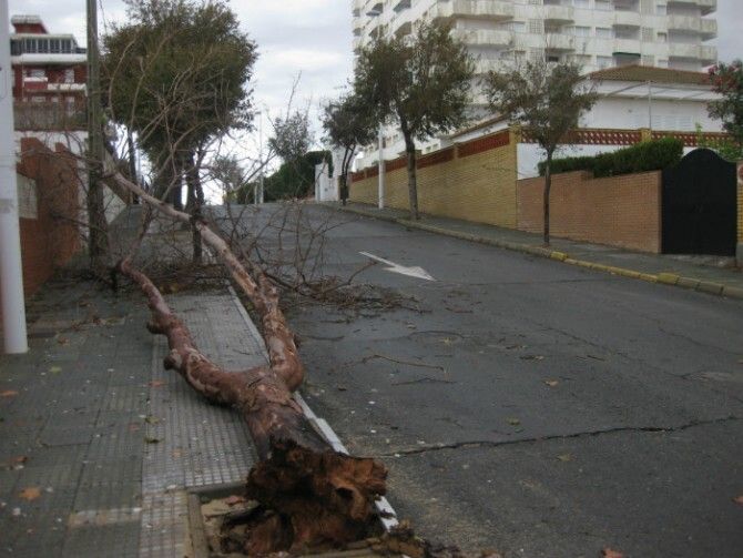 La flota de Punta permanece amarrada a puerto por el temporal