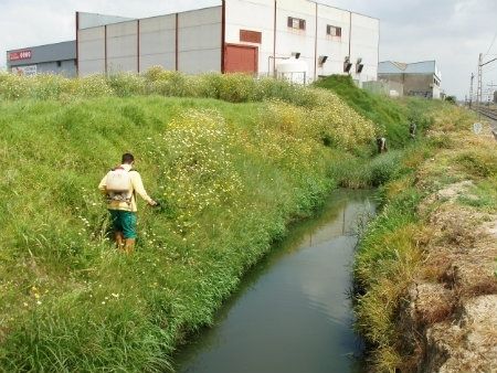 El Servicio de Control de Mosquitos de Diputación inicia el mes de mayo actuando intensivamente sobre los focos