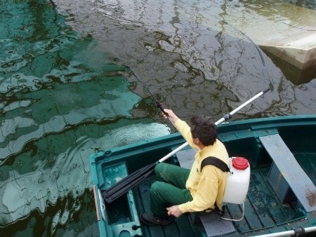 El Servicio de Control de Mosquitos de Diputación inicia el mes de mayo actuando intensivamente sobre los focos