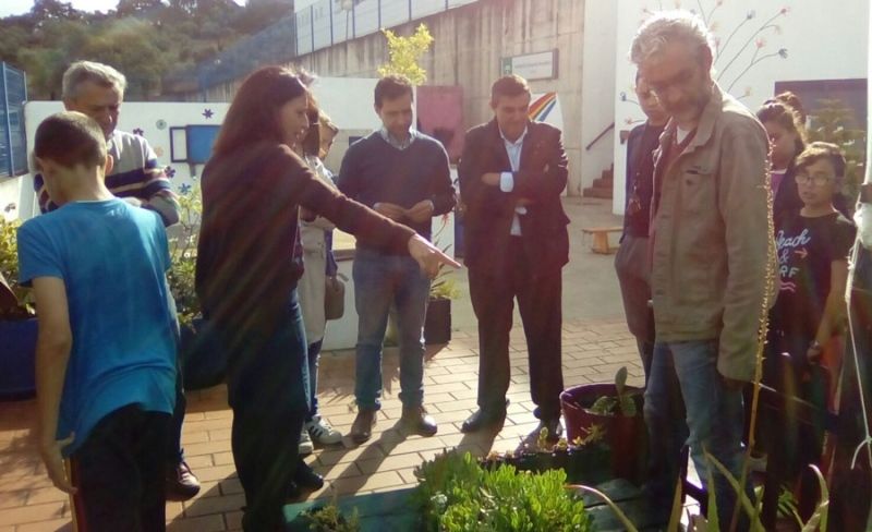 Cuatro centros educativos reciben la Bandera Verde de Ecoescuelas por su compromiso ambiental