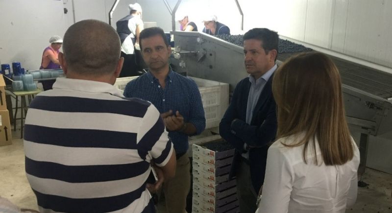Hacen efectiva la concesión de aguas públicas para la ampliación de la producción de arándanos en Aroche