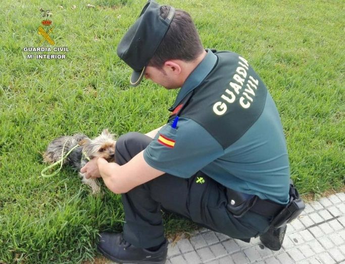 La Guardia Civil salva la vida a un perro que estaba siendo ahogado por un hombre en la playa de Nueva Umbría