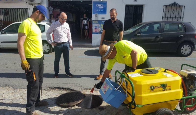 Cartaya intensifica la campaña contra las cucarachas de la red de alcantarillado