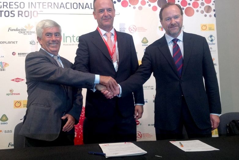 Interfresa y la Fedemco firman un acuerdo para luchar contra las malas prácticas y la competencia desleal en el envasado de la fresa