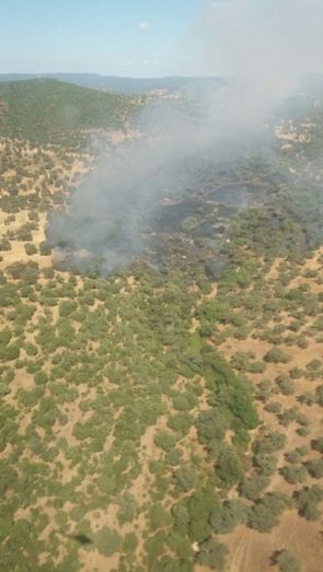 Estabilizados los incendios forestales declarados este sábado en parajes de Aroche y Bonares