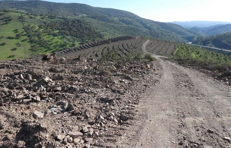 Asociaciones y partidos políticos unen fuerzas contra el 'deterioro' del Parque Natural de la Sierra de Huelva