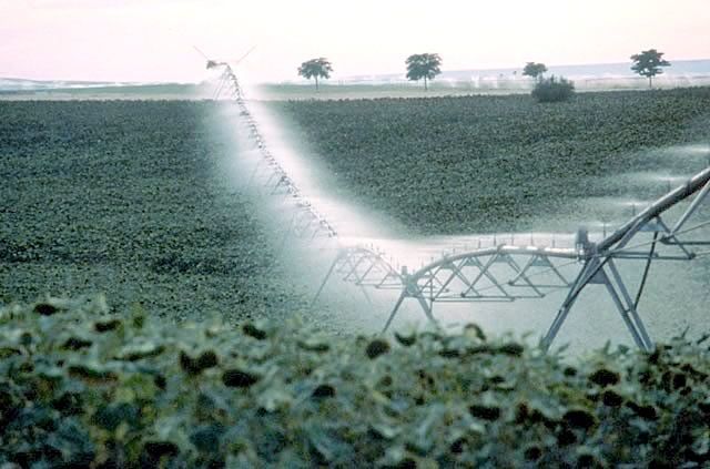 Agricultura impulsará la mejora de los regadíos con 96,1 millones de euros