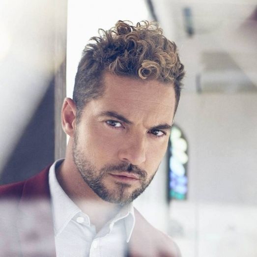 El runrún:  A ver a Bisbal, de gratis