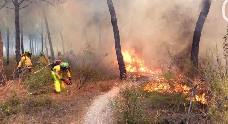 Activado el nivel 1 del Plan de Emergencias y desalojado un albergue por el incendio de Cartaya