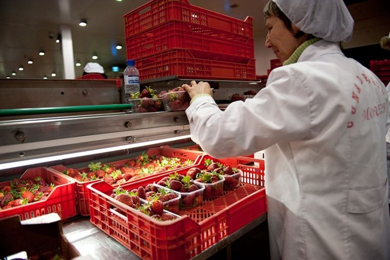 Fresas de Huelva para un corazón de mujer