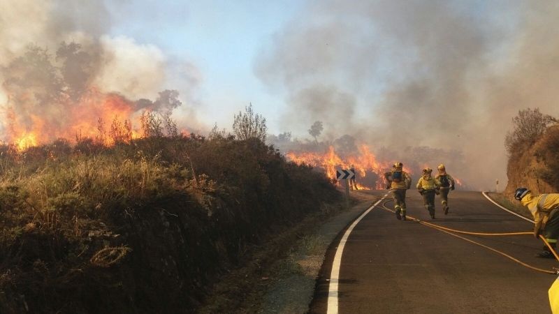 El Infoca da por estabilizado el incendio forestal declarado en un paraje de La Nava