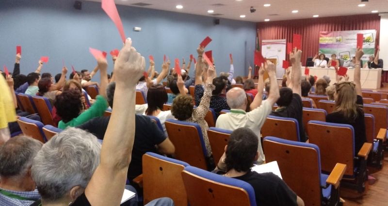 El Consejo Provincial de IU proclama a Sánchez Rufo nuevo coordinador
