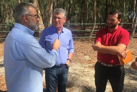 Retoman las labores de mantenimiento en el Arboreto de El Villar, eucaliptal de referencia en Europa