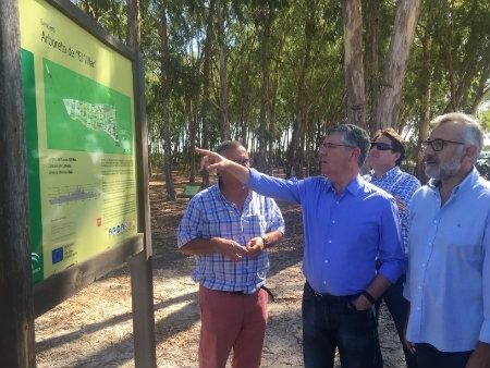 Retoman las labores de mantenimiento en el Arboreto de El Villar, eucaliptal de referencia en Europa