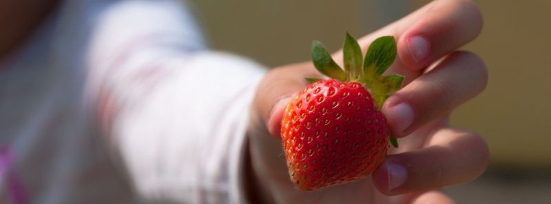 ¿Son las fresas buenas para los niños?