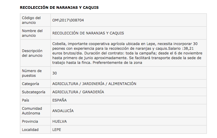 Buscan a 30 trabajadores para la recolección de naranjas y caquis en Lepe