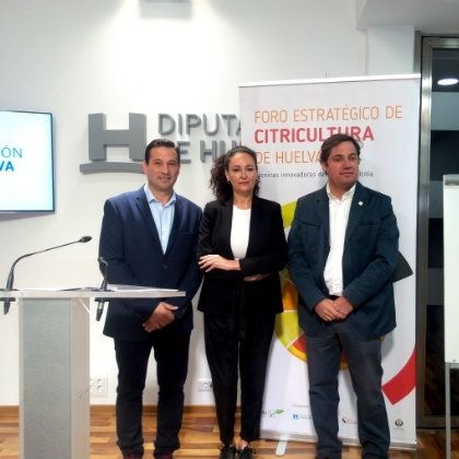 El II Foro de Citricultura dirigido a agricultores onubenses analizará la situación del sector y las técnicas innovadoras