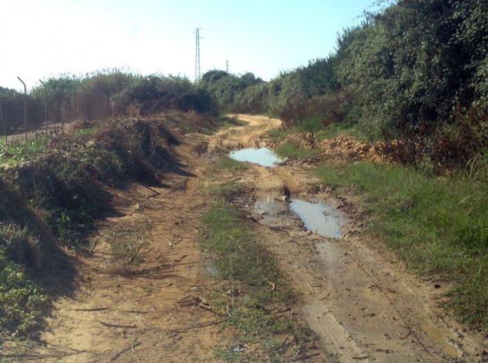 El PSOE de Cartaya pide al alcalde que ponga en marcha el Plan Integral de Caminos una vez publicados los pliegos