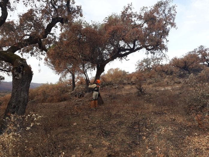 Comienzan las obras de urgencia en los montes públicos afectados por el incendio de La Granada