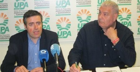 Huelva ofrece trabajo a 6.500 jornaleros jiennenses para que trabajen en la fresa cuando acaben con la aceituna