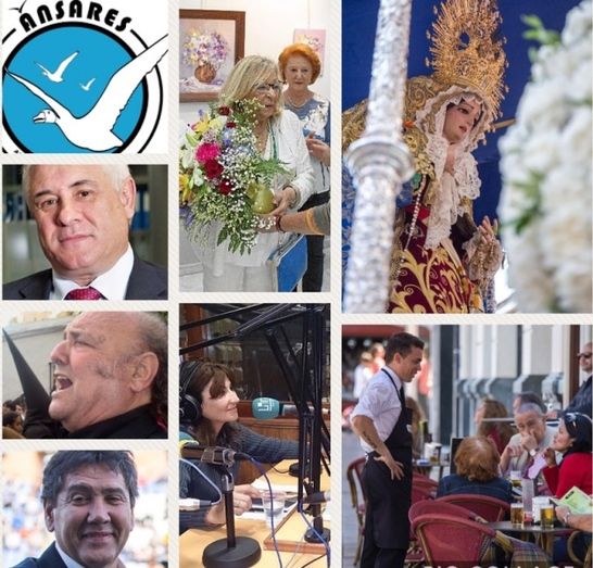 Zambrano, Pilar Barroso, Miguel Palacios, Ánsares o la Virgen de los Dolores, Medallas de la Ciudad