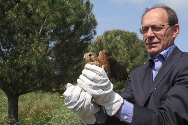 Díaz Trillo valora la 'economía verde' porque genera 'mayor tasa de crecimiento'