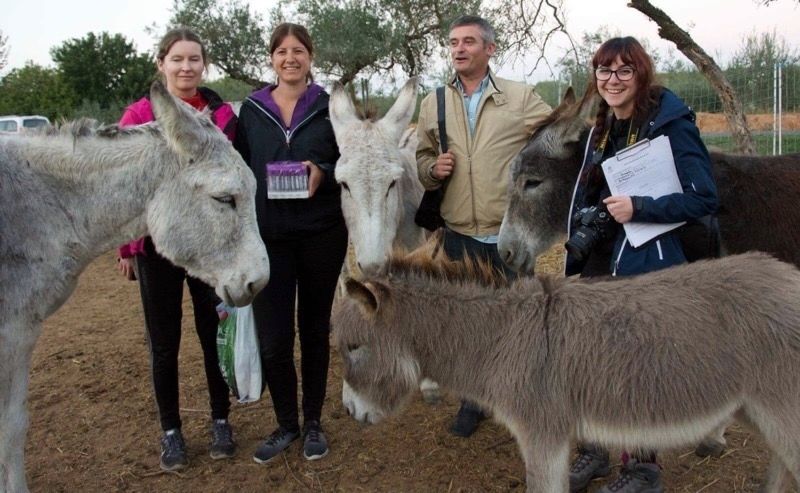 Un prestigioso ecólogo del CSIC 'bendice' a los burros 'bombero' y apuesta por intensificar su uso en Doñana
