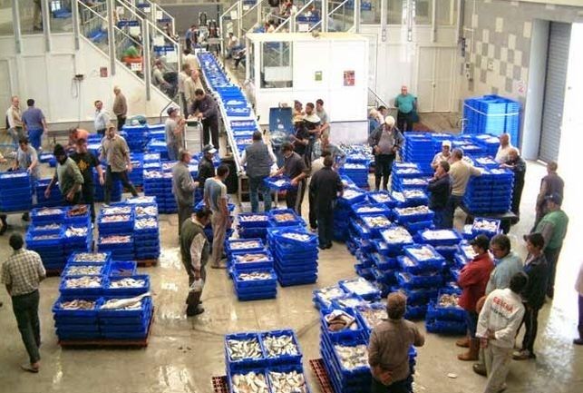 Los trabajadores de la lonja de Isla Cristina se concentrarán ante el impago de las tres últimas nóminas