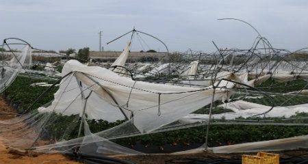 El Ayuntamiento de Cartaya cifra en tres millones los daños del temporal