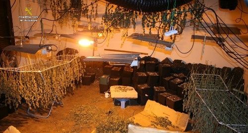 Decretan el ingreso en prisión de dos ciudadanos de nacionalidad china que cultivaban marihuana en una vivienda de Ayamonte