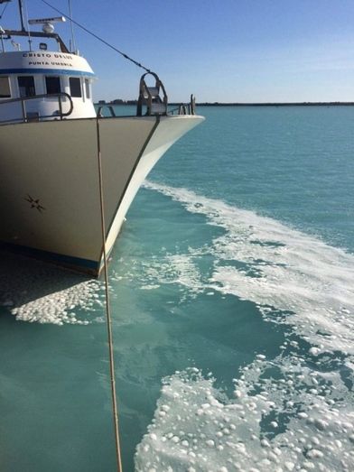 Mesa de la Ría denuncia un posible vertido a la altura de Muelle de Levante
