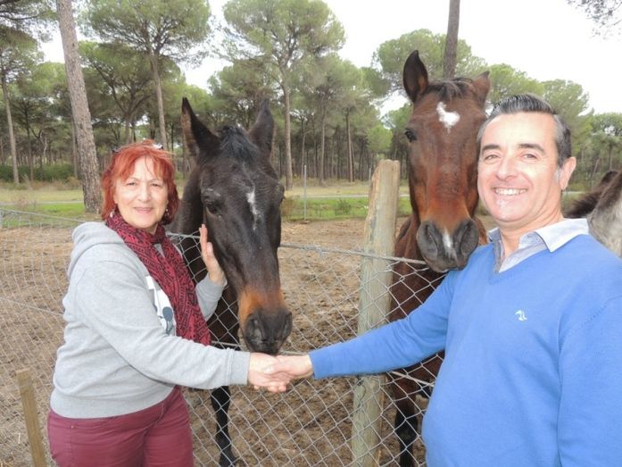 La Operación ‘Último Relincho’, una nueva oportunidad para caballos y asnos