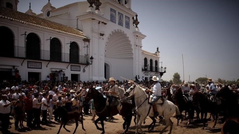 Habrá Saca de las Yeguas tras ubicar las cabezas expulsadas de Hinojos en otras fincas de Doñana
