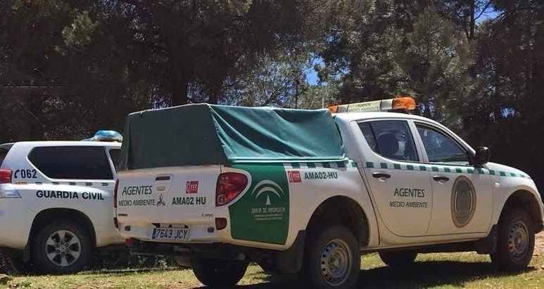 Intervenidos 87 kilos de carne no apta para el consumo transportados en un vehículo