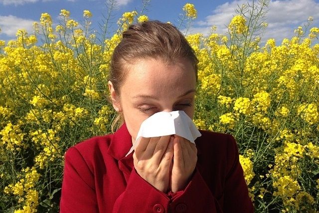 ¿Resfriado o alergia? Así puedes distinguirlos