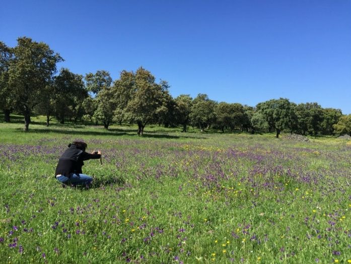 La revista francesa Femme Actuelle dedicará un reportaje de viajes a la provincia de Huelva