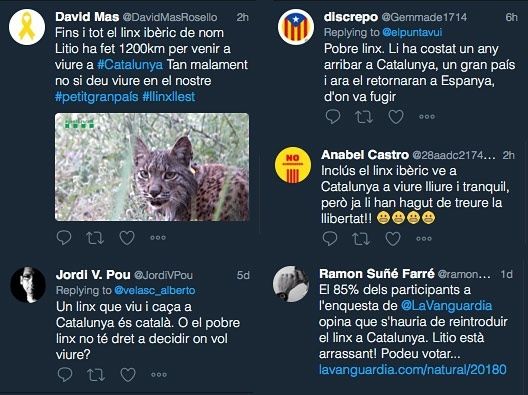 El runrún: Sevilla se queda sin su 'trozo de playa'