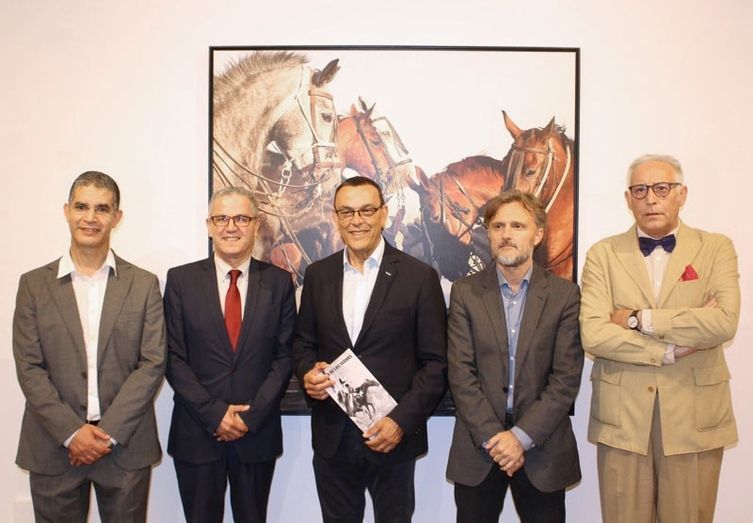 La belleza de la tradición y la conexión con la naturaleza de la 'Saca de las yeguas' llega a la Sala de la Provincia