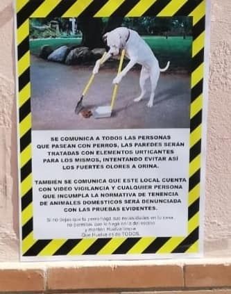 El runrún: Cuidado con tu perro en el Matadero